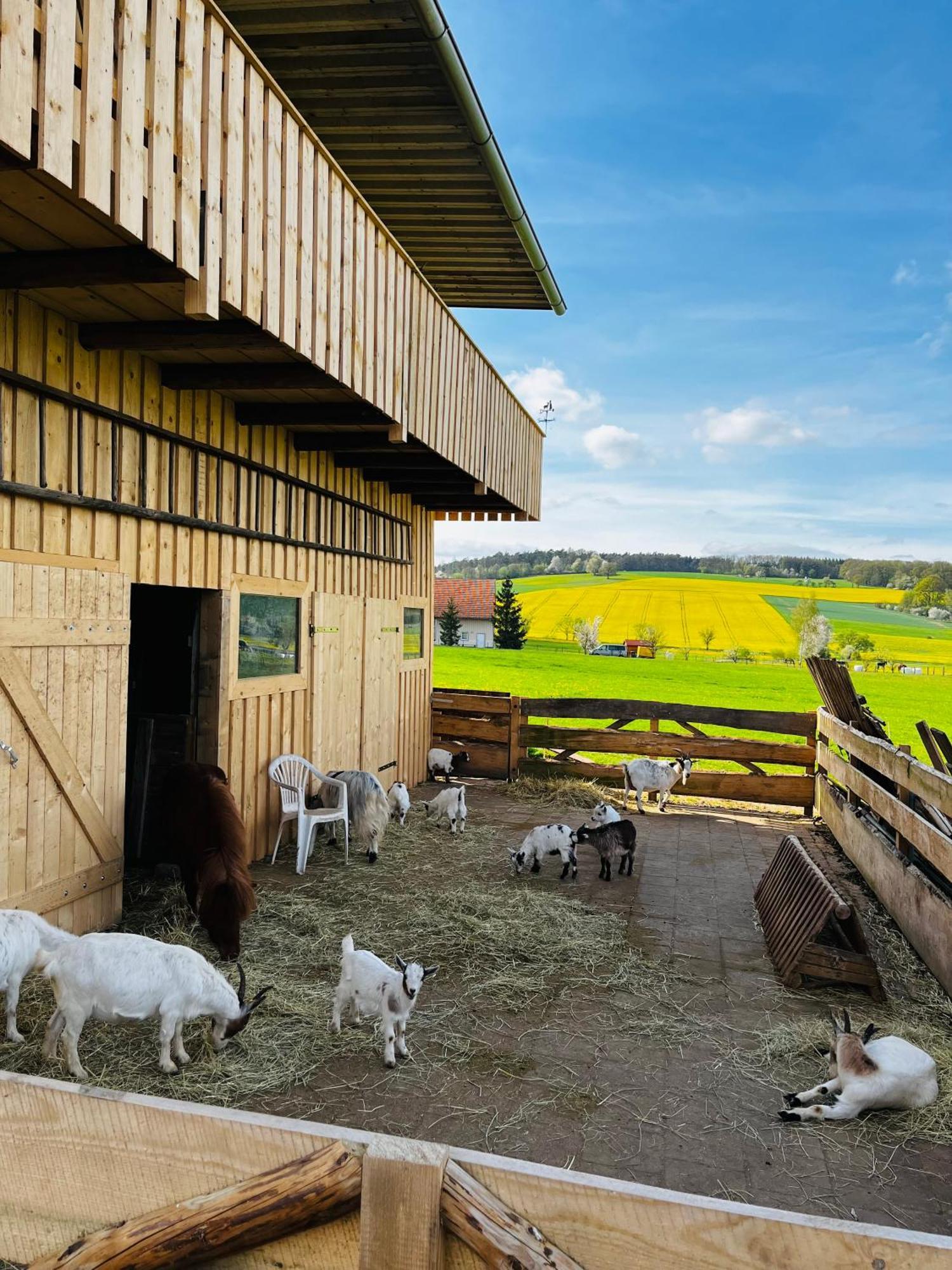 Ferienwohnung Peters Hunfeld Bagian luar foto