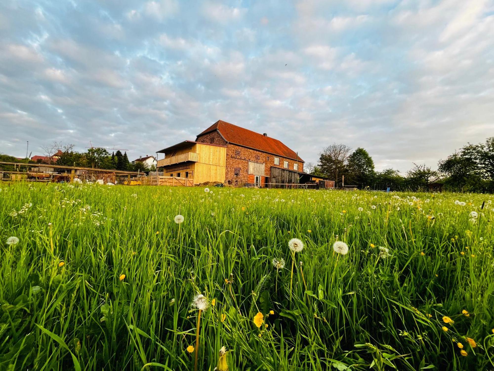 Ferienwohnung Peters Hunfeld Bagian luar foto
