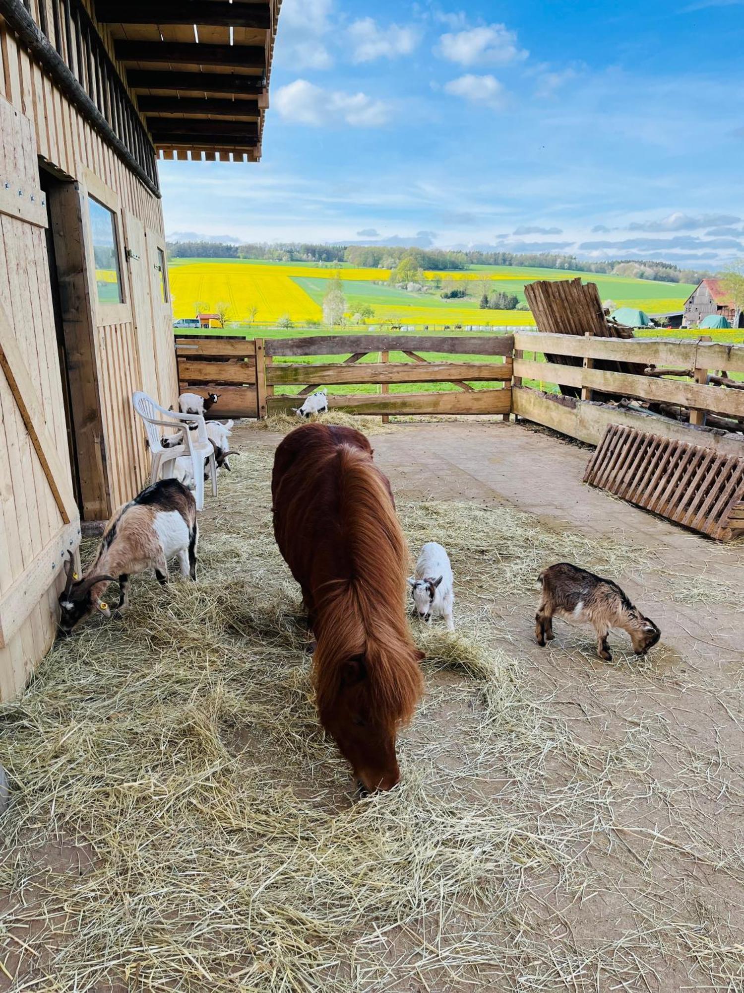 Ferienwohnung Peters Hunfeld Bagian luar foto