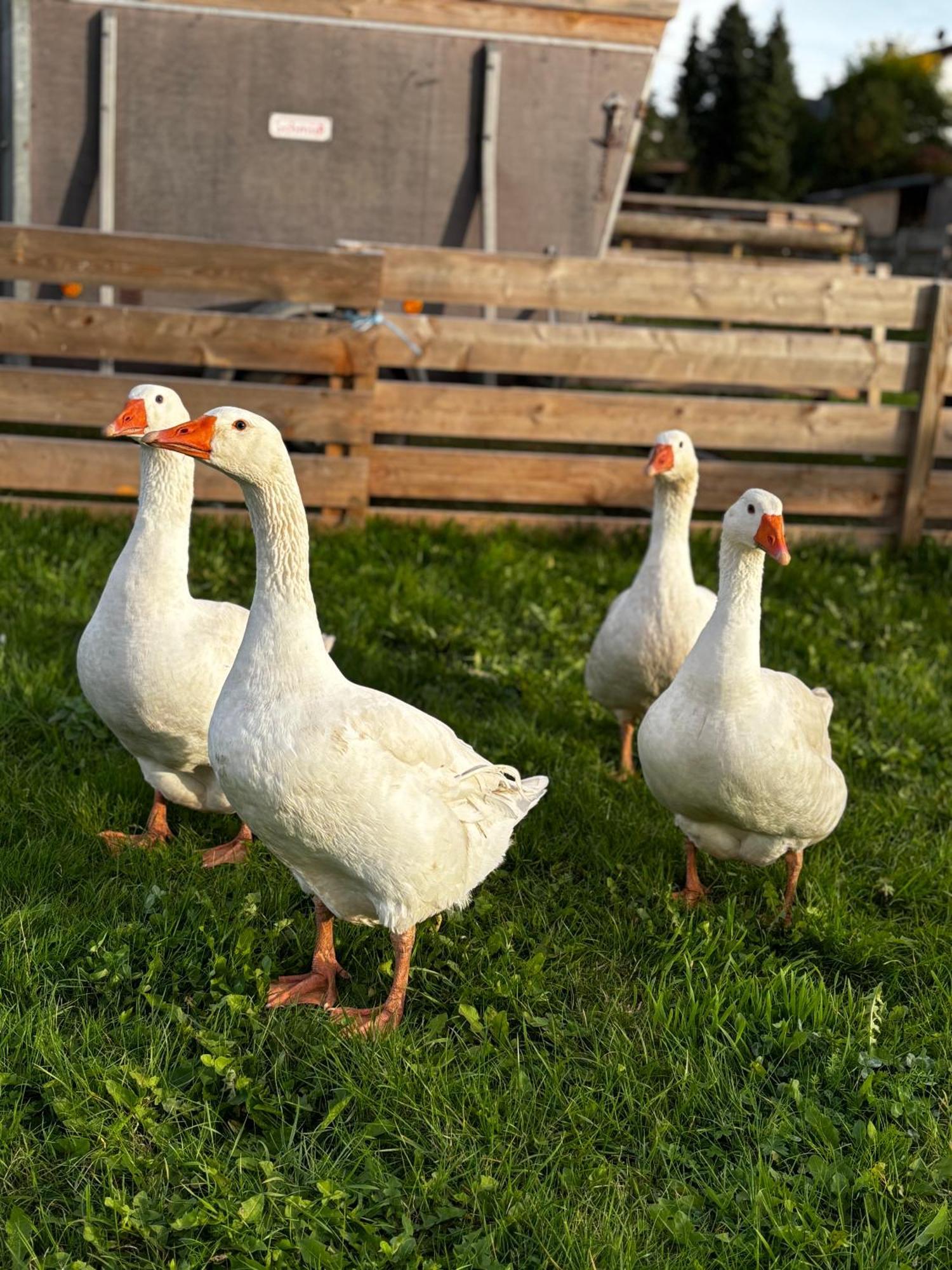 Ferienwohnung Peters Hunfeld Bagian luar foto